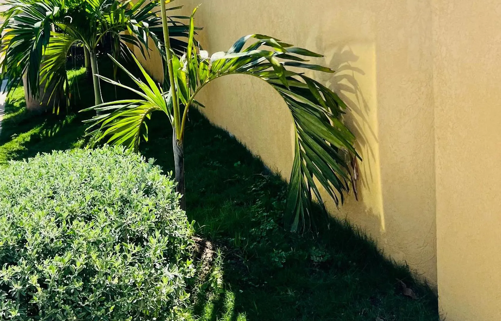 Olive Breeze Apartment Runaway Bay