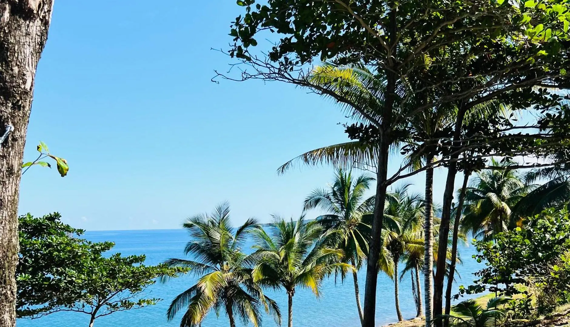 Olive Breeze Apartment Runaway Bay Jamaica